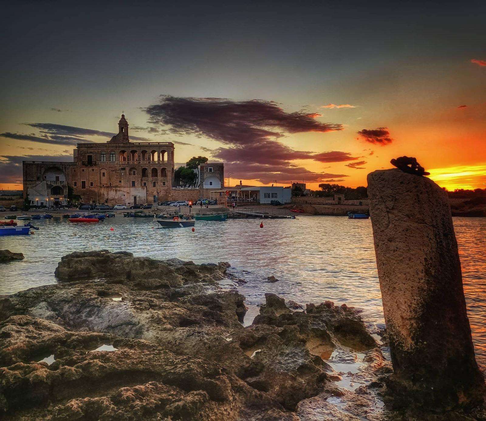Immagine 7